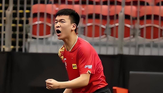 罗纳尔迪尼 罗纳尔迪尼