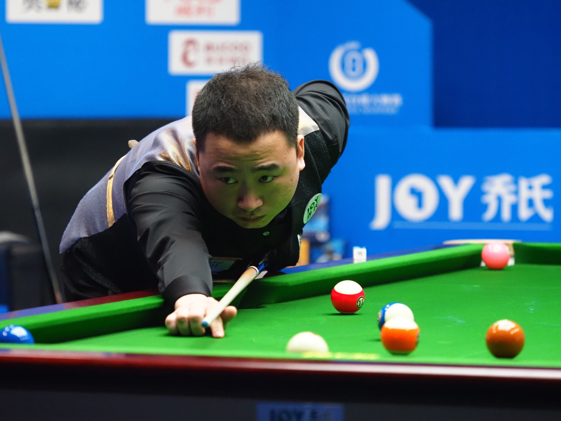 极引进国外 极引进国外