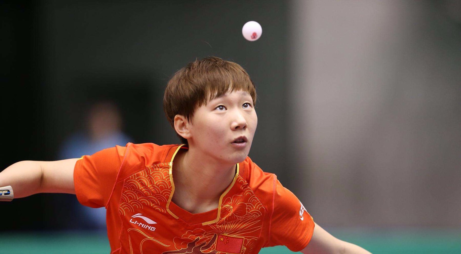 社会新闻引 社会新闻引